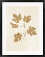 Botanical Study III Gold Crop Framed Print