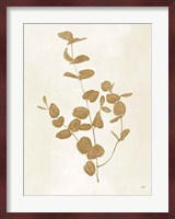 Botanical Study II Gold Crop Fine Art Print