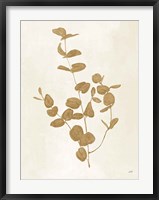 Botanical Study II Gold Crop Framed Print