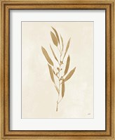 Botanical Study I Gold Crop Fine Art Print