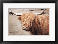 Scottish Highland Cattle I Neutral Fine Art Print