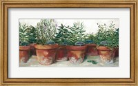 Pots of Herbs I White Fine Art Print