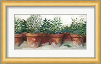 Pots of Herbs I White Fine Art Print