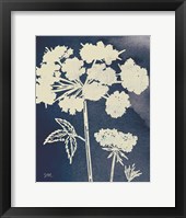 Dark Blue Sky Garden III Framed Print