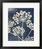 Dark Blue Sky Garden I Framed Print