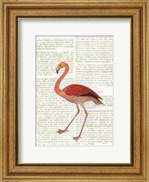 Flying Flamingo No Balloons Fine Art Print