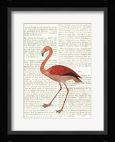 Flying Flamingo No Balloons Fine Art Print