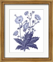 Dark Blue Botanical VI Fine Art Print