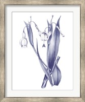 Dark Blue Botanical II Fine Art Print
