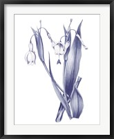 Dark Blue Botanical II Fine Art Print