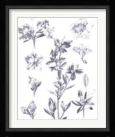 Lithograph Florals I Blue Framed Print