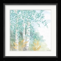 Natures Leaves II Framed Print