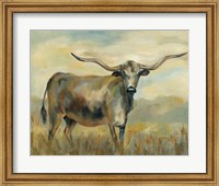 Longhorn Cow Fine Art Print