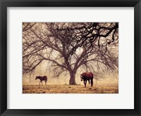 Morning Calm II Framed Print