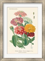 Antique Botanical XLI Light Fine Art Print