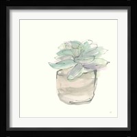 Succulent IV Framed Print