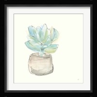 Succulent I Framed Print