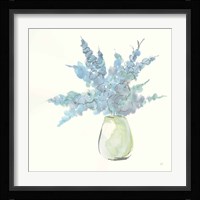 Plant Eucalyptus III Framed Print