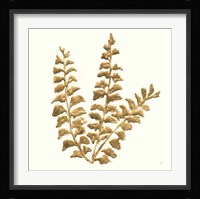 Gilded Fern III Framed Print