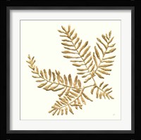 Gilded Fern II Framed Print