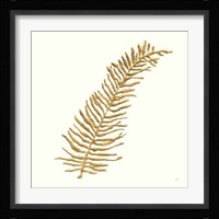 Gilded Fern I Framed Print