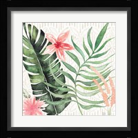 Paradise Petals II Framed Print