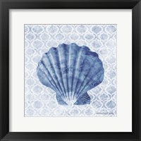 Seashell I Framed Print