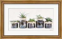Rustic Plants in a Row Fine Art Print