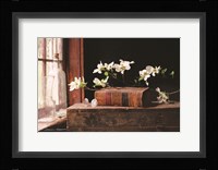 Nature's Law Fine Art Print