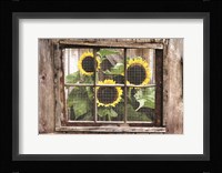 Looking In Fine Art Print