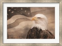 US Symbols Fine Art Print