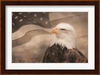 US Symbols Fine Art Print