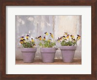 Pansy Still Life I Fine Art Print