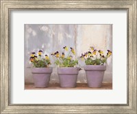 Pansy Still Life I Fine Art Print