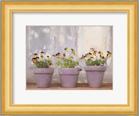 Pansy Still Life I Fine Art Print