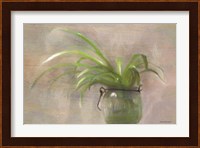 Glass Pot Plant Fine Art Print
