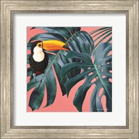 The Toucan Fine Art Print