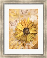 Flower & Butterflies II Fine Art Print