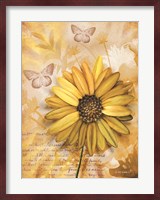 Flower & Butterflies II Fine Art Print