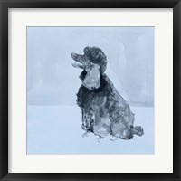 Pop Modern Dog V Fine Art Print
