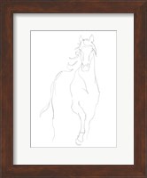 Horse Contour I Fine Art Print