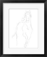 Horse Contour I Fine Art Print