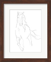 Horse Contour II Fine Art Print