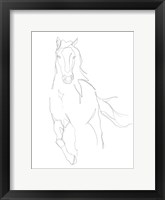 Horse Contour II Fine Art Print
