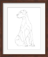 Dog Contour II Fine Art Print