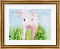 Baby Spring Animals V Fine Art Print