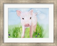 Baby Spring Animals V Fine Art Print