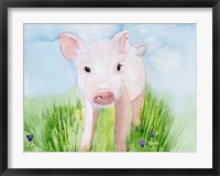 Baby Spring Animals V Fine Art Print