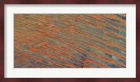Desert Patterns II Fine Art Print