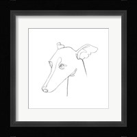 Greyhound Pencil Portrait I Fine Art Print